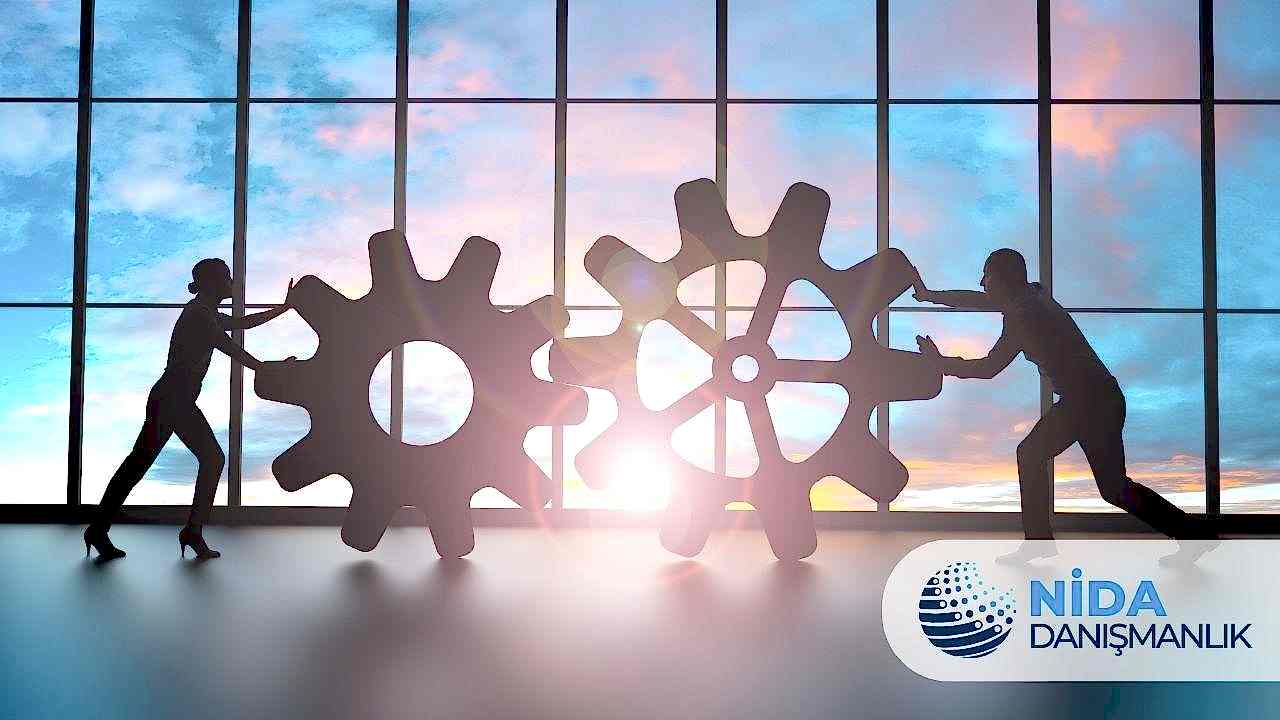 Limited Şirket Kuruluşu